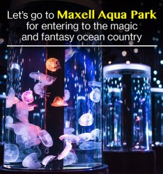 Let’s go to Maxell Aqua Park for entering to the magic and fantasy ocean country~